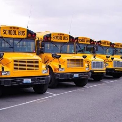 buses
